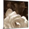 Gardenia Garden-Rebecca Swanson-Mounted Art Print