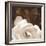 Gardenia Garden-Rebecca Swanson-Framed Photographic Print