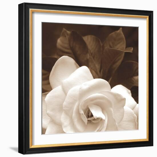 Gardenia Garden-Rebecca Swanson-Framed Photographic Print