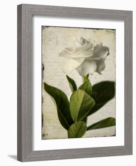 Gardenia Grunge I-Honey Malek-Framed Art Print