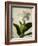 Gardenia Grunge I-Honey Malek-Framed Art Print