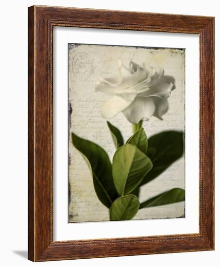 Gardenia Grunge I-Honey Malek-Framed Art Print