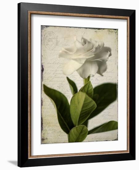 Gardenia Grunge I-Honey Malek-Framed Art Print