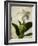 Gardenia Grunge I-Honey Malek-Framed Art Print