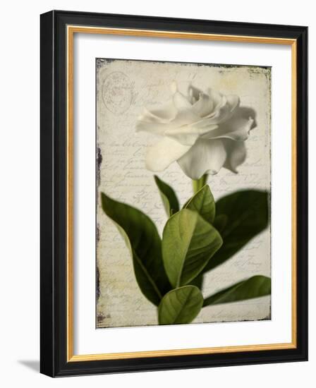 Gardenia Grunge I-Honey Malek-Framed Art Print