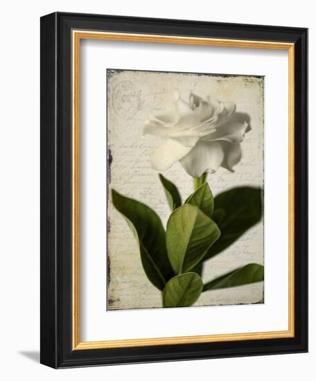 Gardenia Grunge I-Honey Malek-Framed Art Print