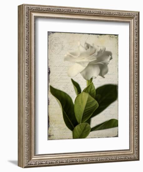 Gardenia Grunge I-Honey Malek-Framed Premium Giclee Print