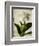 Gardenia Grunge I-Honey Malek-Framed Premium Giclee Print