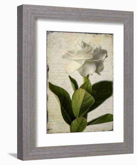 Gardenia Grunge I-Honey Malek-Framed Premium Giclee Print