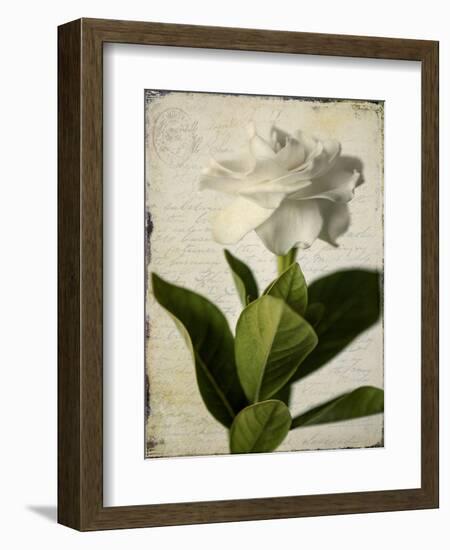 Gardenia Grunge I-Honey Malek-Framed Premium Giclee Print