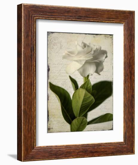 Gardenia Grunge I-Honey Malek-Framed Premium Giclee Print