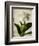 Gardenia Grunge I-Honey Malek-Framed Premium Giclee Print