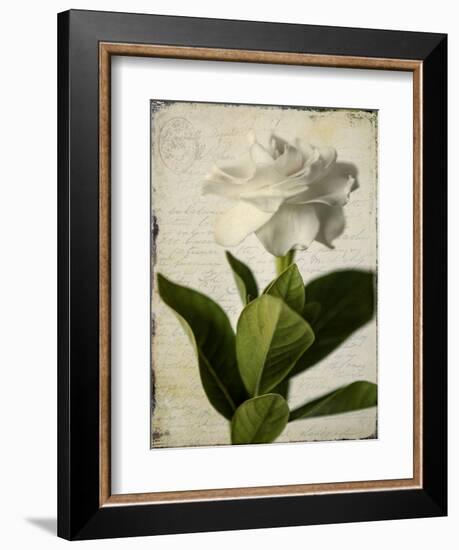 Gardenia Grunge I-Honey Malek-Framed Premium Giclee Print