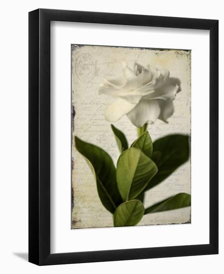 Gardenia Grunge I-Honey Malek-Framed Premium Giclee Print