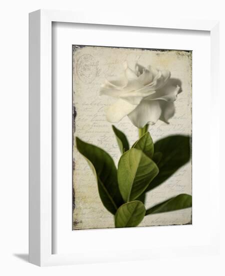 Gardenia Grunge I-Honey Malek-Framed Premium Giclee Print