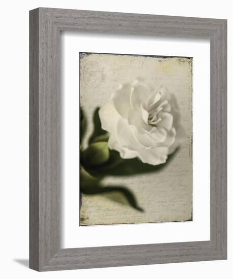 Gardenia Grunge II-Honey Malek-Framed Premium Giclee Print