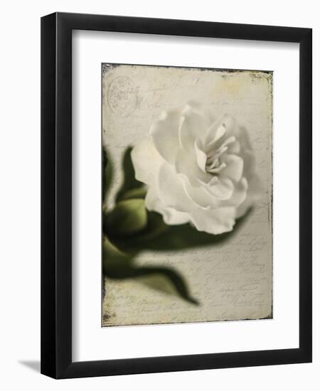 Gardenia Grunge II-Honey Malek-Framed Premium Giclee Print