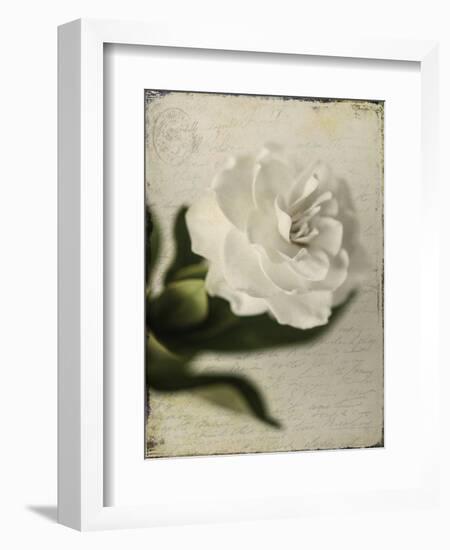 Gardenia Grunge II-Honey Malek-Framed Premium Giclee Print