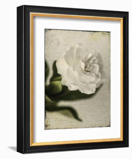 Gardenia Grunge II-Honey Malek-Framed Premium Giclee Print