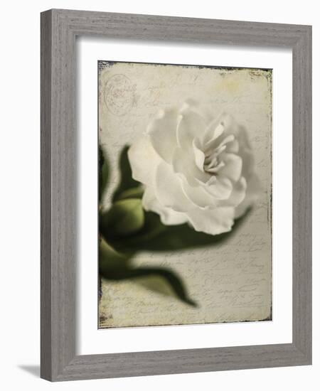 Gardenia Grunge II-Honey Malek-Framed Art Print