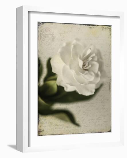 Gardenia Grunge II-Honey Malek-Framed Art Print