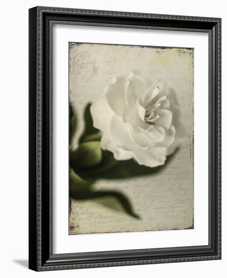 Gardenia Grunge II-Honey Malek-Framed Art Print