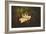 Gardenia in the Garden-Jai Johnson-Framed Giclee Print