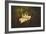 Gardenia in the Garden-Jai Johnson-Framed Giclee Print