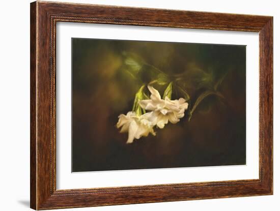 Gardenia in the Garden-Jai Johnson-Framed Giclee Print