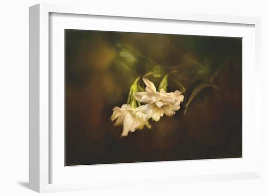 Gardenia in the Garden-Jai Johnson-Framed Giclee Print