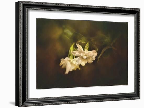Gardenia in the Garden-Jai Johnson-Framed Giclee Print