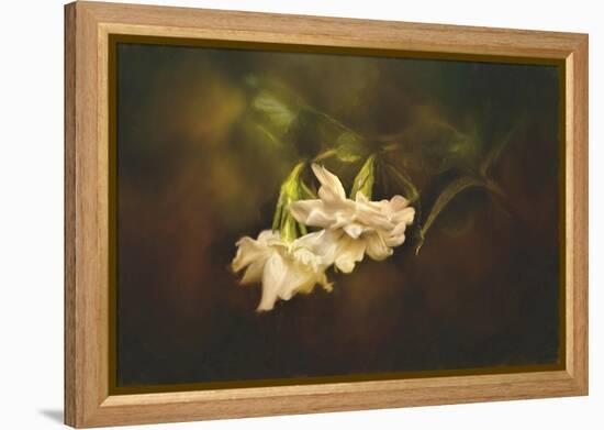 Gardenia in the Garden-Jai Johnson-Framed Premier Image Canvas