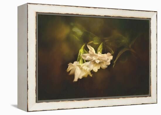 Gardenia in the Garden-Jai Johnson-Framed Premier Image Canvas