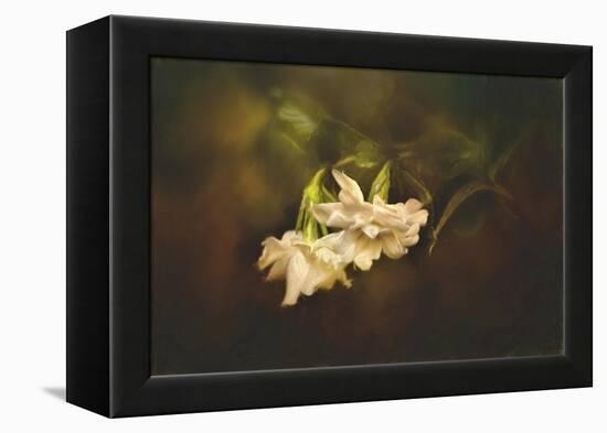 Gardenia in the Garden-Jai Johnson-Framed Premier Image Canvas