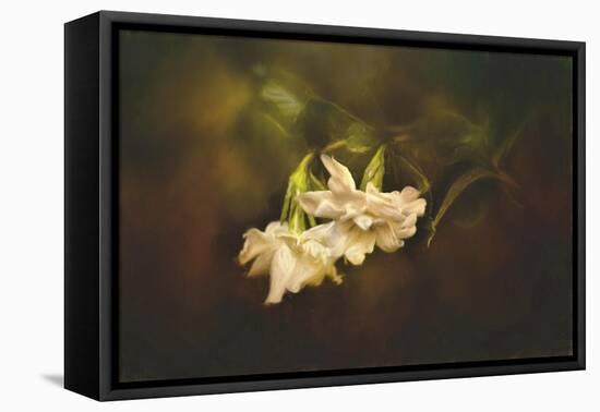 Gardenia in the Garden-Jai Johnson-Framed Premier Image Canvas