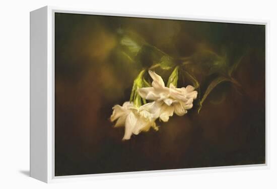 Gardenia in the Garden-Jai Johnson-Framed Premier Image Canvas