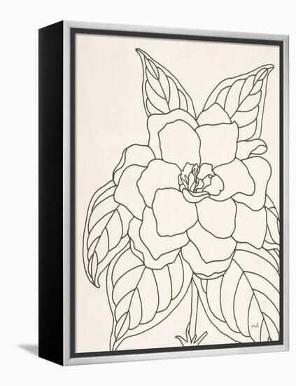 Gardenia Line Drawing Crop-Moira Hershey-Framed Stretched Canvas