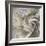 Gardenia-Janel Pahl-Framed Giclee Print