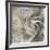 Gardenia-Janel Pahl-Framed Giclee Print