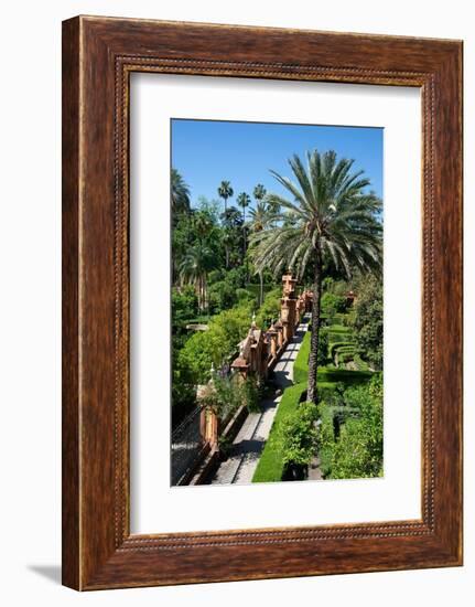 Gardens, Alcazar, UNESCO World Heritage Site, Seville, Andalusia, Spain, Europe-Ethel Davies-Framed Photographic Print