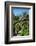 Gardens, Alcazar, UNESCO World Heritage Site, Seville, Andalusia, Spain, Europe-Ethel Davies-Framed Photographic Print