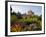 Gardens and Castle Called the Cawdor Castle, Cawdor, Scotland-Bill Bachmann-Framed Photographic Print