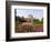 Gardens and Castle Called the Cawdor Castle, Cawdor, Scotland-Bill Bachmann-Framed Photographic Print