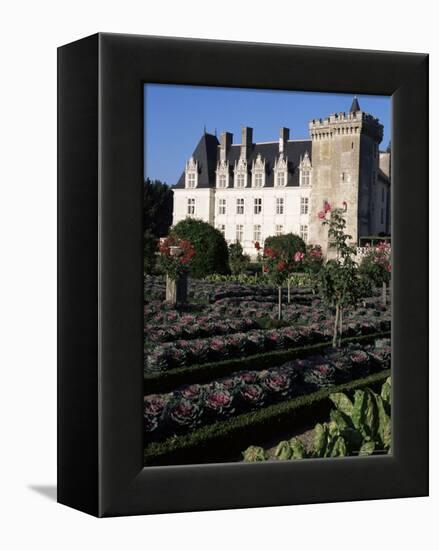 Gardens, Chateau De Villandry, Indre-Et-Loire, Loire Valley, Centre, France-Guy Thouvenin-Framed Premier Image Canvas