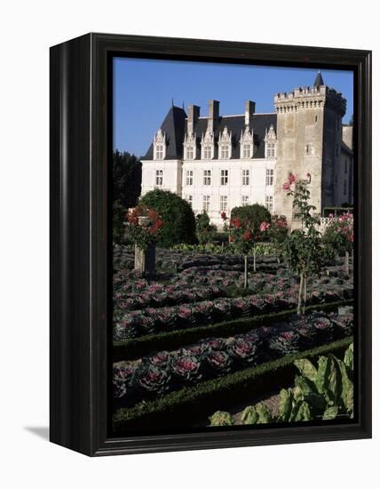 Gardens, Chateau De Villandry, Indre-Et-Loire, Loire Valley, Centre, France-Guy Thouvenin-Framed Premier Image Canvas
