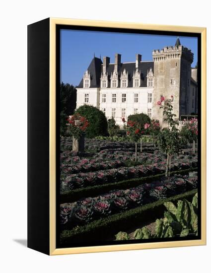 Gardens, Chateau De Villandry, Indre-Et-Loire, Loire Valley, Centre, France-Guy Thouvenin-Framed Premier Image Canvas