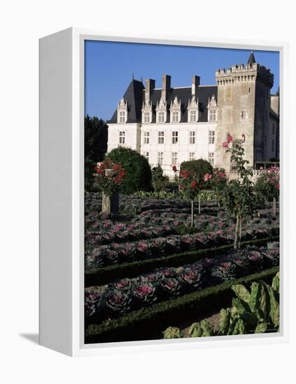 Gardens, Chateau De Villandry, Indre-Et-Loire, Loire Valley, Centre, France-Guy Thouvenin-Framed Premier Image Canvas