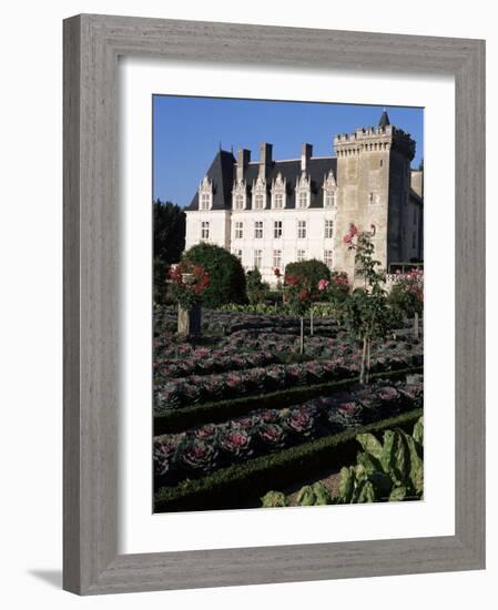 Gardens, Chateau De Villandry, Indre-Et-Loire, Loire Valley, Centre, France-Guy Thouvenin-Framed Photographic Print