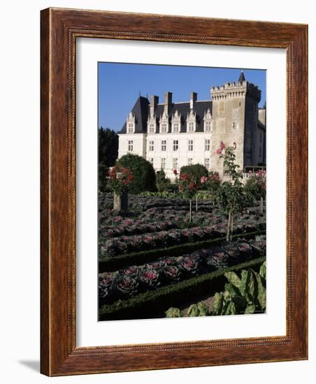 Gardens, Chateau De Villandry, Indre-Et-Loire, Loire Valley, Centre, France-Guy Thouvenin-Framed Photographic Print