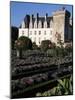 Gardens, Chateau De Villandry, Indre-Et-Loire, Loire Valley, Centre, France-Guy Thouvenin-Mounted Photographic Print